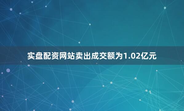 实盘配资网站卖出成交额为1.02亿元