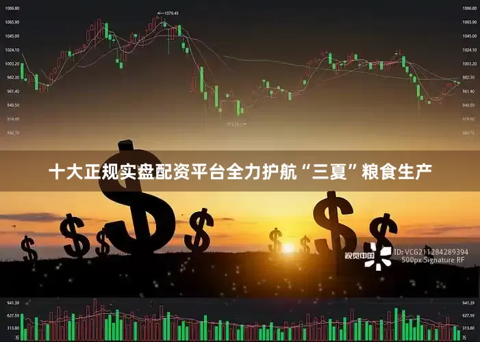 十大正规实盘配资平台全力护航“三夏”粮食生产