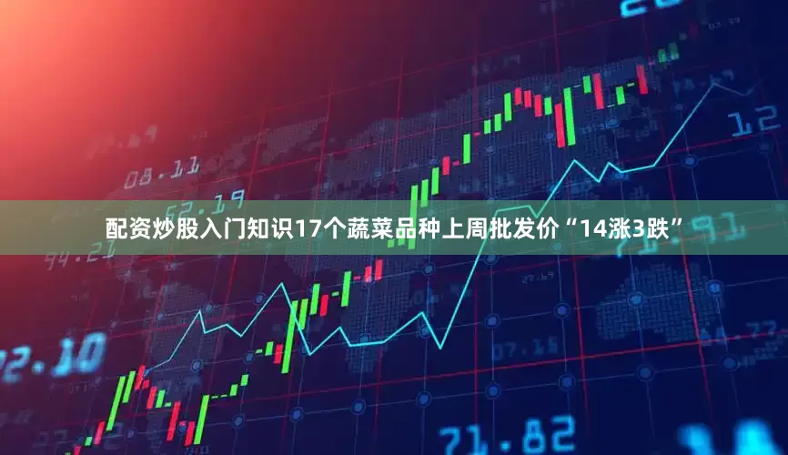 配资炒股入门知识17个蔬菜品种上周批发价“14涨3跌”