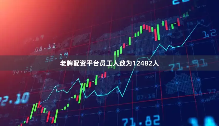 老牌配资平台员工人数为12482人
