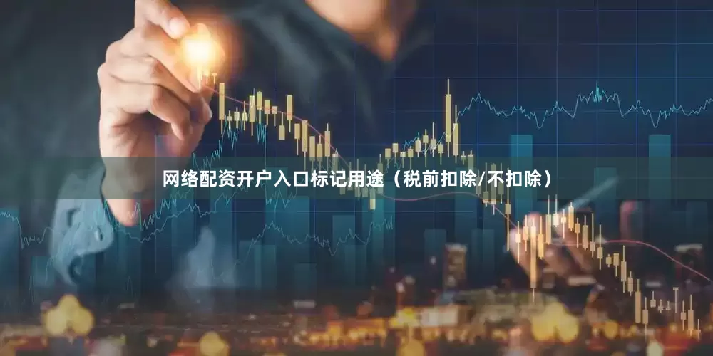 网络配资开户入口标记用途（税前扣除/不扣除）